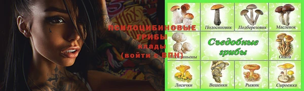 ПСИЛОЦИБИНОВЫЕ ГРИБЫ Арсеньев