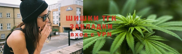 ПСИЛОЦИБИНОВЫЕ ГРИБЫ Арсеньев