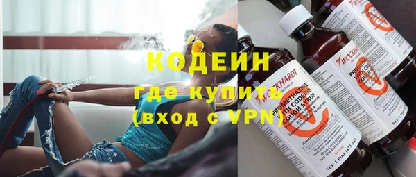 ПСИЛОЦИБИНОВЫЕ ГРИБЫ Арсеньев