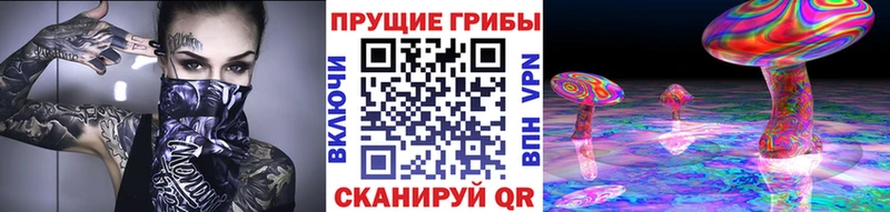 Псилоцибиновые грибы GOLDEN TEACHER  Сасово 